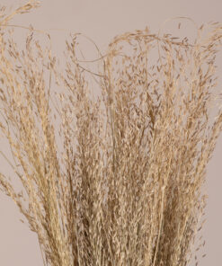 GloboStar® SILVERHAIRGRASS 36545 Αποξηραμένο Φυτό Ασημένια Χλόη – Μπουκέτο Διακοσμητικών Κλαδιών Μπεζ Υ60cm