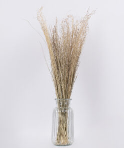 GloboStar® SILVERHAIRGRASS 36545 Αποξηραμένο Φυτό Ασημένια Χλόη – Μπουκέτο Διακοσμητικών Κλαδιών Μπεζ Υ60cm