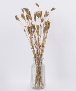 GloboStar® WILDCARROT 36546 Αποξηραμένο Φυτό Άγριο Καρότο – Μπουκέτο Διακοσμητικών Κλαδιών Μπεζ Υ60cm