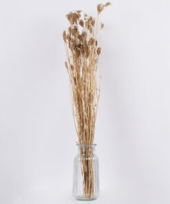 GloboStar® WILDCARROT 36547 Αποξηραμένο Φυτό Άγριο Καρότο – Μπουκέτο Διακοσμητικών Κλαδιών Μπεζ Υ80cm