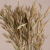GloboStar® WHEAT 36548 Αποξηραμένο Φυτό Σίτος – Μπουκέτο Διακοσμητικών Κλαδιών Μπεζ – Πράσινο Υ60cm