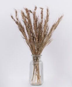 GloboStar® COLATAI 36549 Αποξηραμένο Φυτό Εράγρωστις – Μπουκέτο Διακοσμητικών Κλαδιών Μπεζ – Καφέ Υ60cm