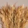 GloboStar® WHEAT 36550 Αποξηραμένο Φυτό Σίτος – Μπουκέτο Διακοσμητικών Κλαδιών Μπεζ Υ60cm