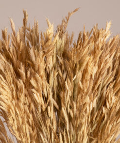 GloboStar® WHEAT 36550 Αποξηραμένο Φυτό Σίτος – Μπουκέτο Διακοσμητικών Κλαδιών Μπεζ Υ60cm