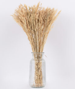 GloboStar® WHEAT 36550 Αποξηραμένο Φυτό Σίτος – Μπουκέτο Διακοσμητικών Κλαδιών Μπεζ Υ60cm