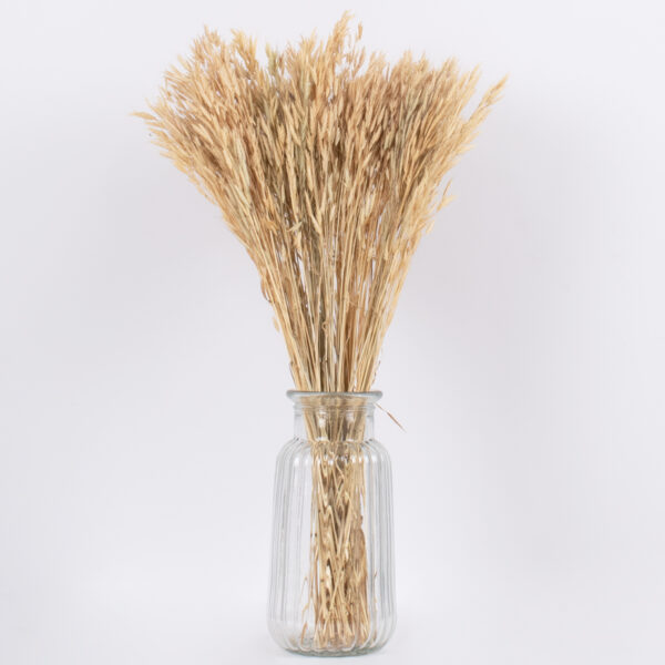 GloboStar® WHEAT 36550 Αποξηραμένο Φυτό Σίτος – Μπουκέτο Διακοσμητικών Κλαδιών Μπεζ Υ60cm