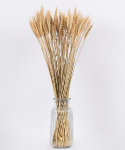 GloboStar® BARLEY 36551 Αποξηραμένο Φυτό Κριθάρι – Μπουκέτο Διακοσμητικών Κλαδιών Μπεζ Υ60cm