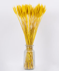 GloboStar® BARLEY 36552 Αποξηραμένο Φυτό Κριθάρι – Μπουκέτο Διακοσμητικών Κλαδιών Μπεζ – Κίτρινο Υ60cm