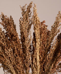 GloboStar® BROOMCORN 36553 Αποξηραμένο Φυτό Γλυκό Σόργο – Μπουκέτο Διακοσμητικών Κλαδιών Καφέ Υ60cm