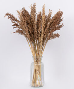 GloboStar® BROOMCORN 36553 Αποξηραμένο Φυτό Γλυκό Σόργο – Μπουκέτο Διακοσμητικών Κλαδιών Καφέ Υ60cm
