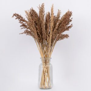 GloboStar® BROOMCORN 36553 Αποξηραμένο Φυτό Γλυκό Σόργο – Μπουκέτο Διακοσμητικών Κλαδιών Καφέ Υ60cm