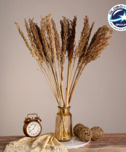 GloboStar® BROOMCORN 36554 Αποξηραμένο Φυτό Γλυκό Σόργο – Μπουκέτο Διακοσμητικών Κλαδιών Καφέ Υ80cm