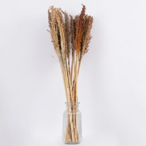 GloboStar® BROOMCORN 36554 Αποξηραμένο Φυτό Γλυκό Σόργο – Μπουκέτο Διακοσμητικών Κλαδιών Καφέ Υ80cm
