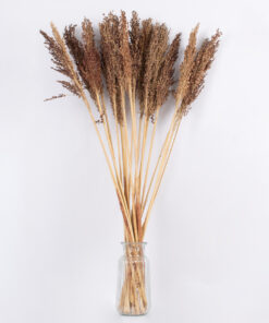 GloboStar® BROOMCORN 36555 Αποξηραμένο Φυτό Γλυκό Σόργο – Μπουκέτο Διακοσμητικών Κλαδιών Καφέ Υ100cm