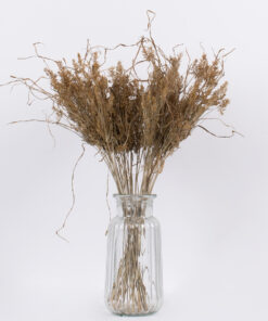 GloboStar® FERNGRASS 36556 Αποξηραμένο Φυτό Φτερόχορτο – Μπουκέτο Διακοσμητικών Κλαδιών Μπεζ Υ60cm