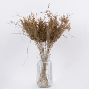 GloboStar® FERNGRASS 36556 Αποξηραμένο Φυτό Φτερόχορτο – Μπουκέτο Διακοσμητικών Κλαδιών Μπεζ Υ60cm
