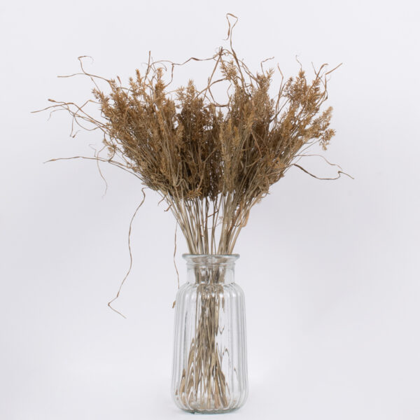 GloboStar® FERNGRASS 36556 Αποξηραμένο Φυτό Φτερόχορτο – Μπουκέτο Διακοσμητικών Κλαδιών Μπεζ Υ60cm