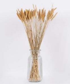 GloboStar® SETARIA 36557 Αποξηραμένο Φυτό Σεταρία – Μπουκέτο Διακοσμητικών Κλαδιών Μπεζ Υ60cm
