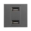 ΠΡΙΖΑ 2 Χ USB MODULES ΓΡΑΦΙΤΗΣ EUROLAMP – 152-20458