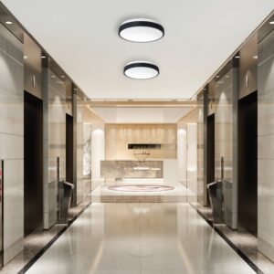 InLight Πλαφονιέρα οροφής LED 12W 4000K από ακρυλικό και μεταλλική βάση D:25cm (42014)