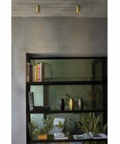 STAN CEILING LAMP SATIN GOLD 1xGU10 FARO – 43758