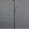 Φωτιστικό Δαπέδου Μαύρο Ματ WILLIS LED 44W 5150lm CCT Dimmable Trio Lighting – 449510232