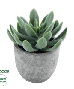 GloboStar® Artificial Garden SUCCULENT SEDEVERIA 21025 Διακοσμητικό Φυτό Παχύφυτο Σεντεβέρια Υ10.5cm