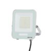ΠΡΟΒΟΛΕΑΣ LED SMD 50W ΛΕΥΚΟΣ IP66 6500K PLUS EUROLAMP – 147-69039