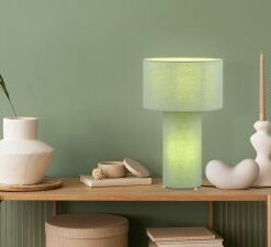 Επιτραπέζιο Φωτιστικό Trio Lighting 2xE27 Πράσινου Χρώματος – 505200149