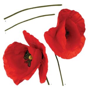 Poppies αυτοκόλλητα τοίχου βινυλίου Ango – 54101