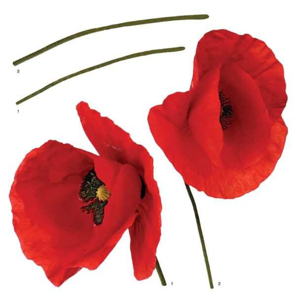 Poppies αυτοκόλλητα τοίχου βινυλίου Ango – 54101