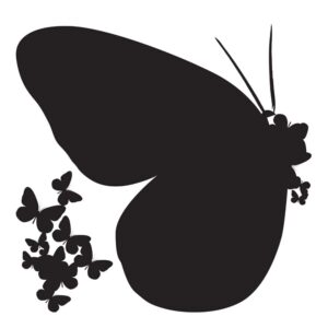 Butterflies Silhouettes αυτοκόλλητα τοίχου βινυλίου M Ango – 54110