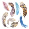 Watercolour Dreamcatcher αυτοκόλλητα τοίχου βινυλίου M Ango – 54111