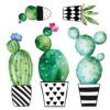 Watercolour Cactus αυτοκόλλητα τοίχου βινυλίου Ango – 54114