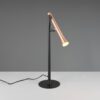 Πορτατιφ Σποτ Καφέ-Μαύρο Ματ Fiato Trio Lighting LED 3W CCT 400lm Dimmable – 552010165