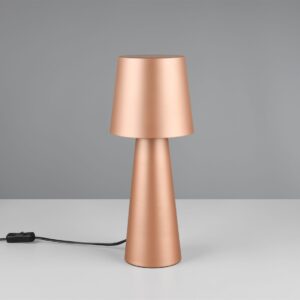 Πορτατίφ Καφέ Μεταλλικό NUBIAN 1xE27 Trio Lighting – 562900165