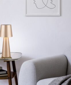 Πορτατίφ Καφέ Μεταλλικό NUBIAN 1xE27 Trio Lighting – 562900165