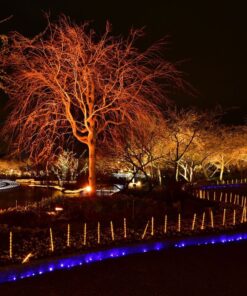 LED Προβολέας 10W Μαύρος V-TAC IP65 110° Κόκκινο – 5989