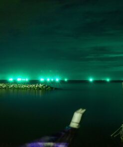 LED Προβολέας 20W Μαύρος V-TAC IP65 110° Πράσινο – 5991