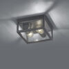 Φωτιστικό Οροφής Trio Lighting   2xE27 Ανθρακί Αλουμίνιο   IP44 601860242
