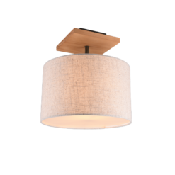 Φωτιστικό Οροφής Trio Lighting E27 Νίκελ Αντικέ Μεταλλικό 602100130