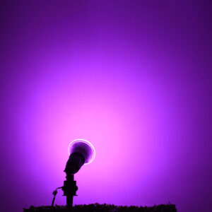 GloboStar® 60232 Λάμπα LED E27 PAR38 Κήπου Σκληρού Υάλου 18W 1200lm 60° AC 220-240V IP65 Φ12 x Υ13cm Ροζ – 3 Years Warranty