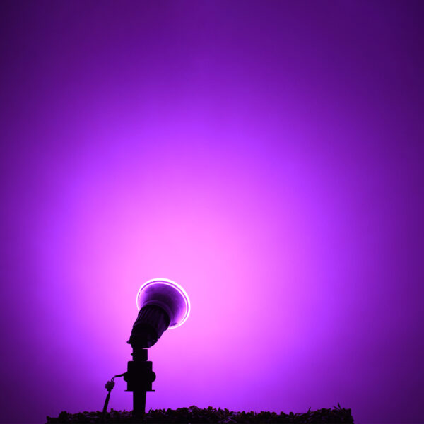 GloboStar® 60232 Λάμπα LED E27 PAR38 Κήπου Σκληρού Υάλου 18W 1200lm 60° AC 220-240V IP65 Φ12 x Υ13cm Ροζ – 3 Years Warranty
