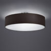 Φωτιστικό Οροφής Trio Lighting   E27 Νίκελ Ματ Μεταλλικό    603900302