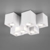 Φωτιστικό Οροφής Trio Lighting   GU10 Λευκό Ματ Μεταλλικό    604900631