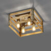 Φωτιστικό Οροφής Trio Lighting   E27 Νίκελ Αντικέ Μεταλλικό    605500467
