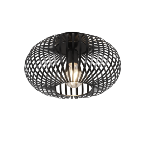 Φωτιστικό Οροφής Trio Lighting JOHANN  1x E27 Μαύρο Ματ Μεταλλικό   – 606903032