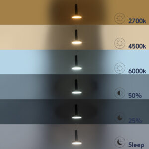 GLOBOSTAR® ZANE 60933 Κρεμαστό Φωτιστικό Design LED CCT 18W 2016lm 120° AC 220-240V IP20 – Εναλλαγή Φωτισμού μέσω Τηλεχειριστηρίου All In One Ψυχρό 6000k+Φυσικό 4500k+Θερμό 2700k Dimmable – Φ15 x Υ18cm – Μαύρο & Χρυσό – 3 Χρόνια Εγγύηση