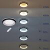 GloboStar® MELINA 61042 Πλαφονιέρα Οροφής Κύκλος LED CCT 55W 6376lm 120° AC 220-240V – Εναλλαγή Φωτισμού μέσω Τηλεχειριστηρίου All In One Ψυχρό Λευκό 6000k+Φυσικό Λευκό 4500k+Θερμό Λευκό 2700k Dimmable Φ48cm – Ανθρακί – 3 Years Warranty