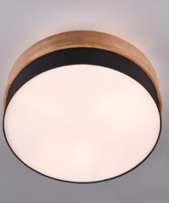 Φωτιστικό Οροφής Trio Lighting SEASONS 2x E14 Νίκελ Ματ Μεταλλικό – 611500202